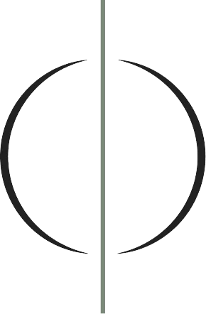 Circle split in half by vertical line creating symmetrical geometric design